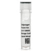 Human Glioblastoma (Parental) Cancer Stem Cell (GBM) - Frozen Vial. This is the original GBM tumor isolated from Brain Cancer Tissue.