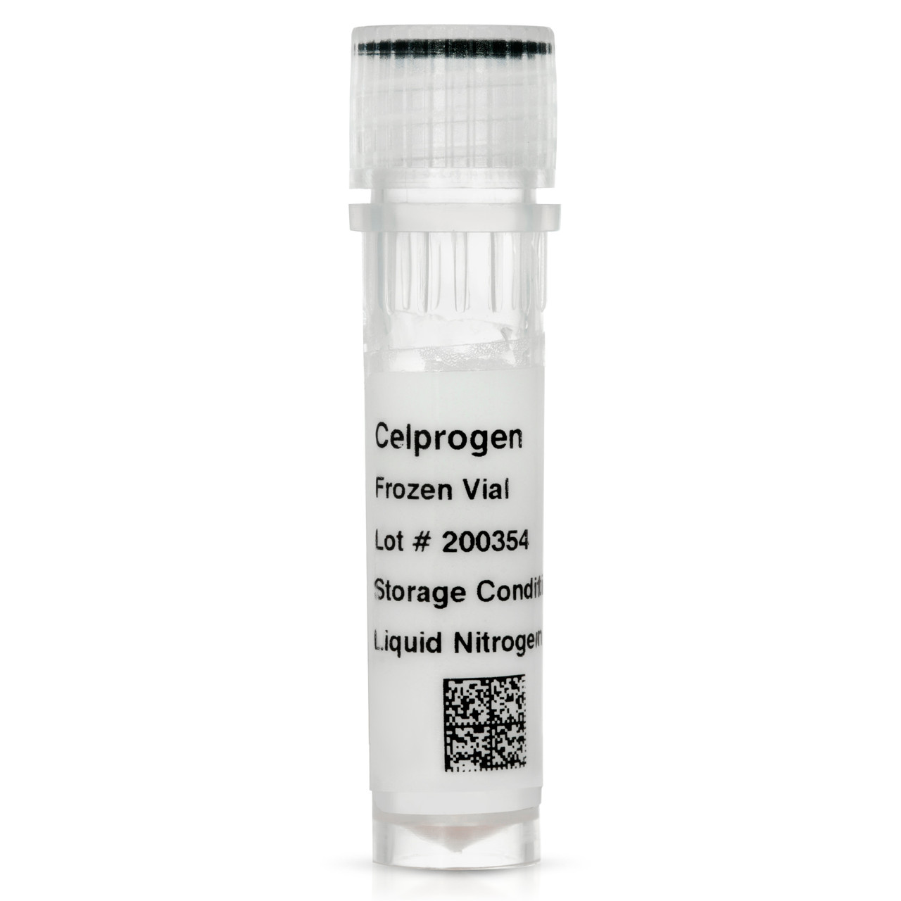 Human Colon Cancer Stem Cell - Frozen Vial - Celprogen