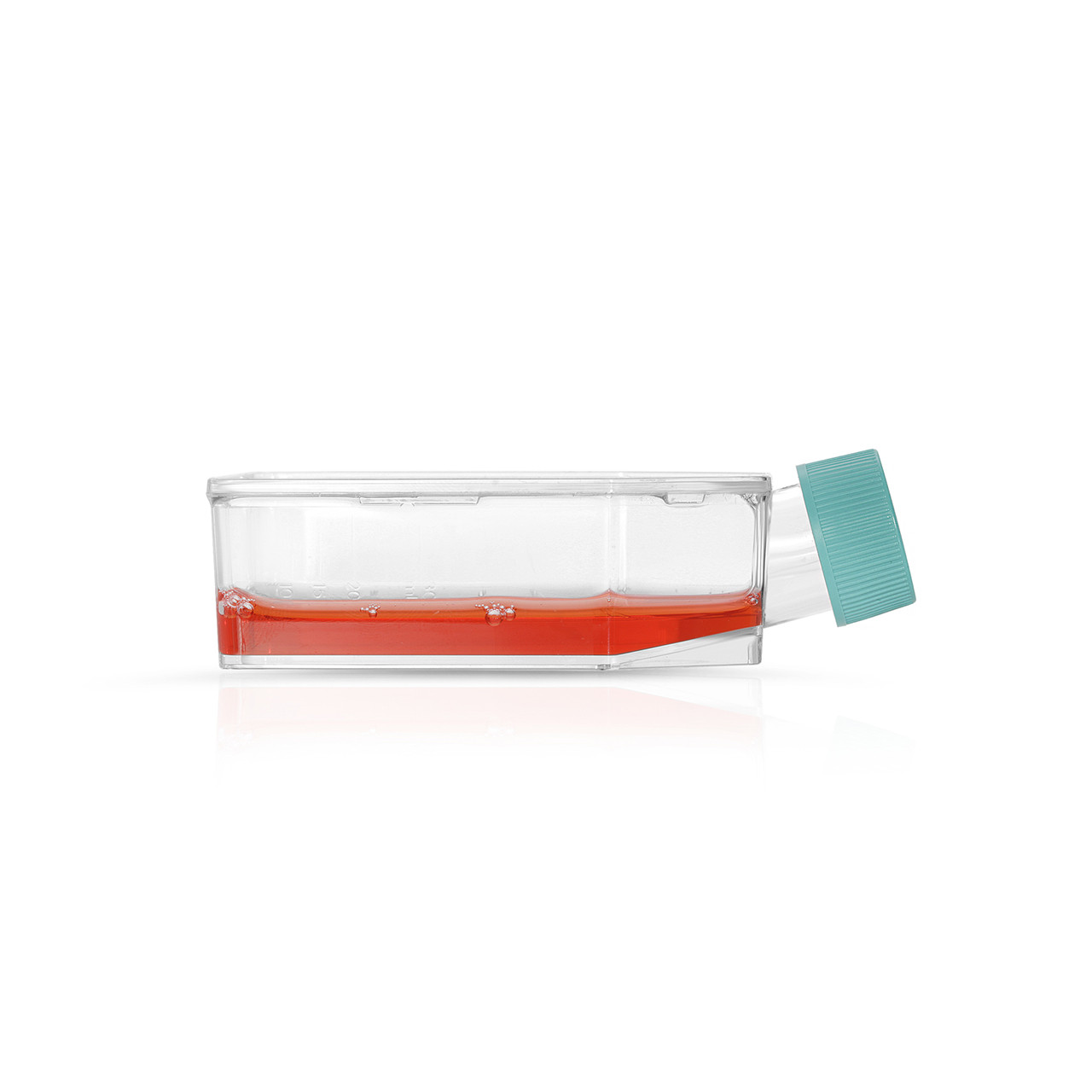 Human Pancreatic Normal Cell Culture- T25 Plated Cells - Celprogen