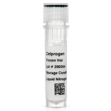 Human Podocyte Primary Cell Culture - Frozen Vial - Celprogen