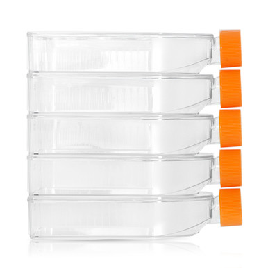 Human Periodontal Ligament Stem Cell Culture Extra-cellular Matrix ...