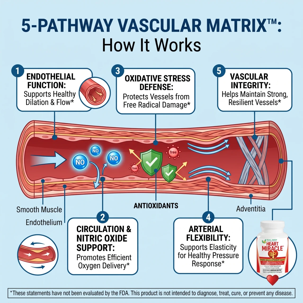 Century System Heart Miracle Blood Pressure Support - 5 Pathway Vascular Matrix. Endothelial Function, Circulation & Nitric Oxide Support, Oxidative Stress Defense, Arterial Flexibility, Helps Maintain Strong Resilient Blood Vessels Over Time