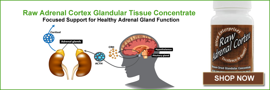 Raw Adrenal Cortex Glandular Tissue Concentrate Provides Focused Support for Healthy Adrenal Glands (200mg, 60 Tablets)