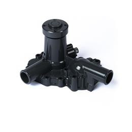 PUMP,F/W,M30, R/B 145016924