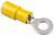 RING TERM