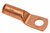LUG TERM