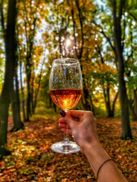 10.24-Harvest Season & Spooky Wine Tasting with Steve