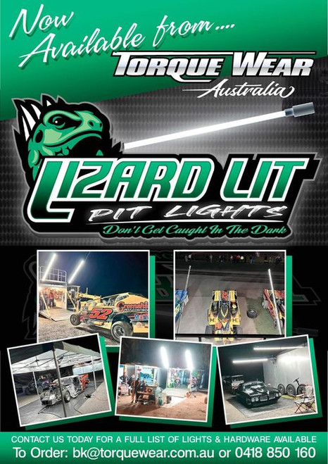 Lizard Lit Pit Lights