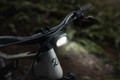 Amflow PR Carbon 2027 - Moss Green