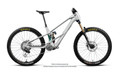 Orbea Wild LT M-LTD RS 2027 - Silver / Green