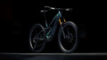 Orbea Wild LT M-LTD RS 2027 - Green / Mintalized