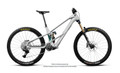 Orbea Wild LT M10 2027 - Silver / Green