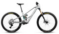 Orbea Wild LT M10 2027 - Silver / Green