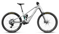 Orbea Wild LT M20 2027 - Silver / Green