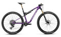 Orbea Oiz M-LTD 2027 - Plum / Black