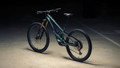 Orbea Wild LT M-LTD RS Mullet 2027 - Green / Mintalized
