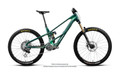 Orbea Wild LT M-LTD RS Mullet 2027 - Green / Mintalized