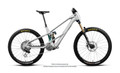 Orbea Wild LT M-LTD RS Mullet 2027 - Silver / Green