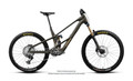 Orbea Wild LT M-Team RS Mullet 2027 - Magic Gold