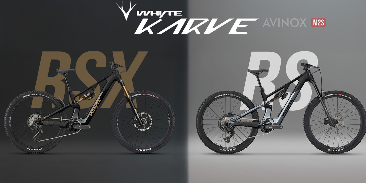 Whyte Karve
