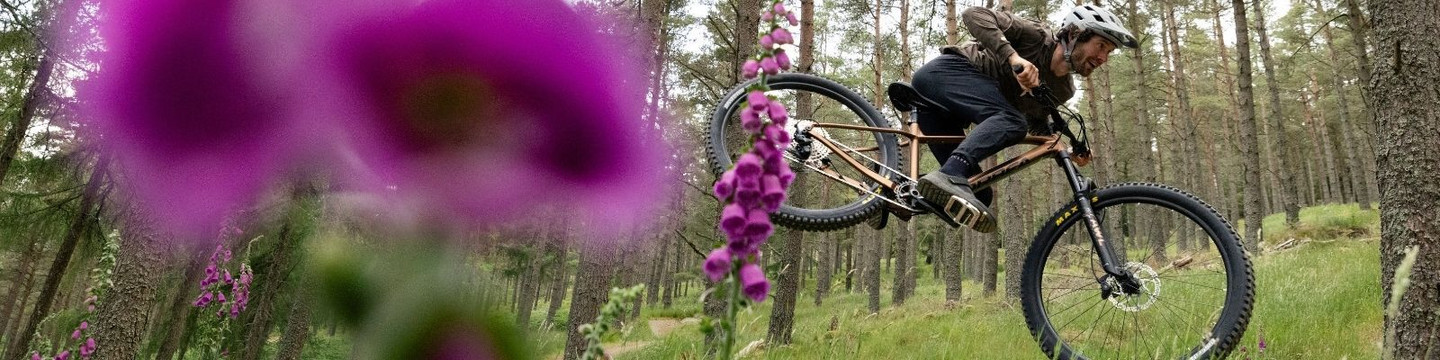 Orbea Laufey