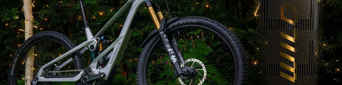 Orbea Wild⚡