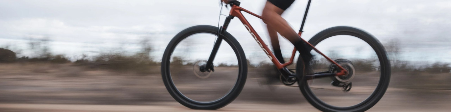 Orbea Alma