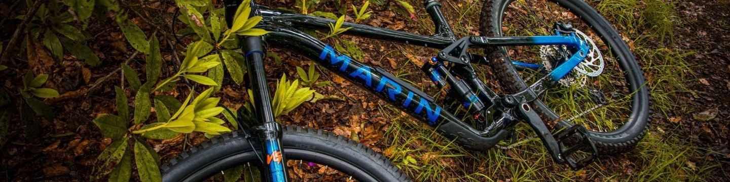 Marin Alpine Trail