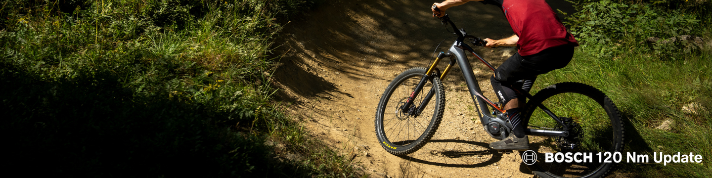 Orbea Wild⚡