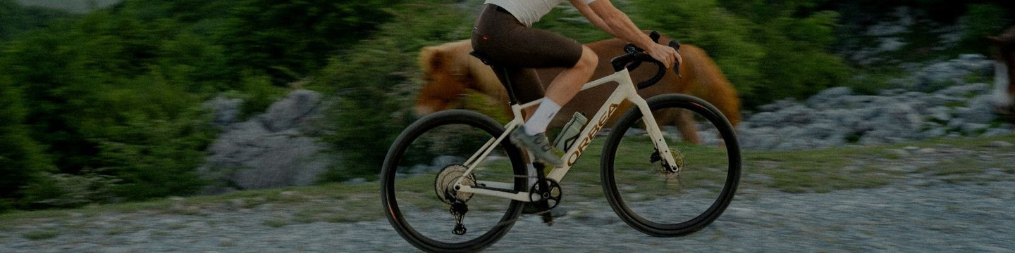 Orbea Terra