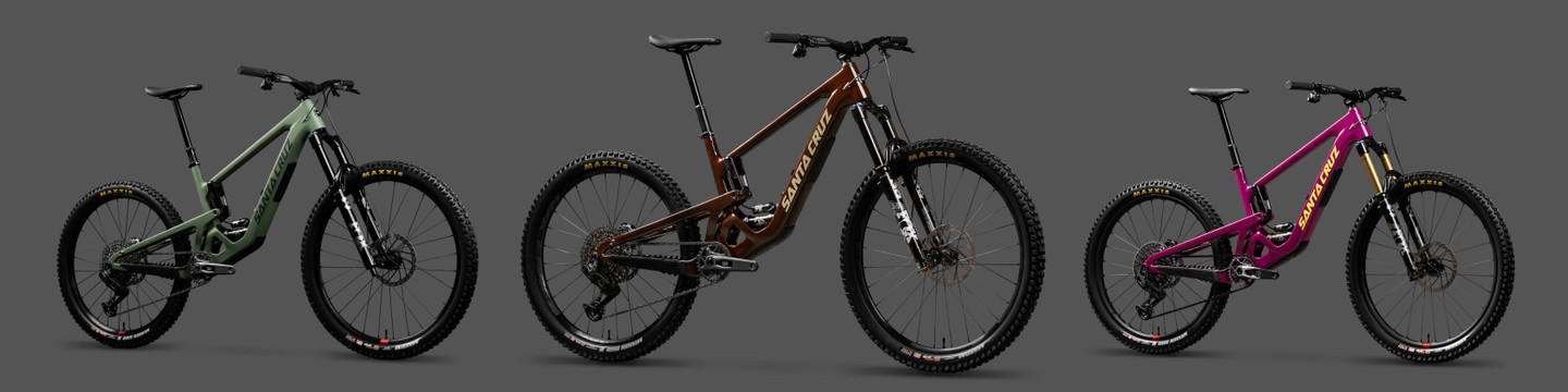 Santa Cruz Bronson