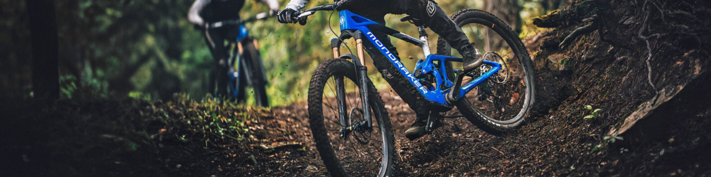 Lightweight EMTB