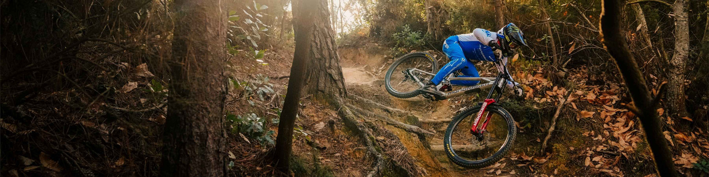 Downhill Bikes