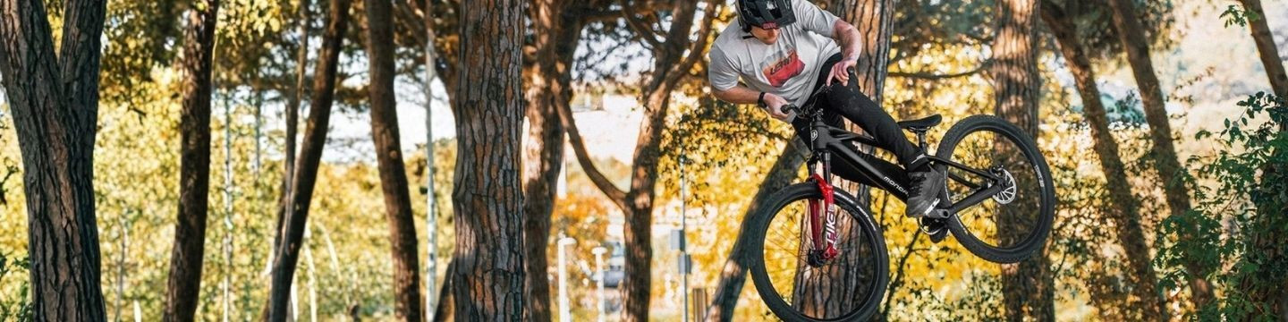 Mondraker Kaoz