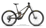 Orbea Wild LT M20 2027 - Magic Gold