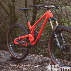 Evil Wreckoning - custom build - MTB Monster