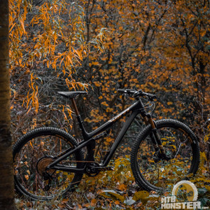 black gold mtb