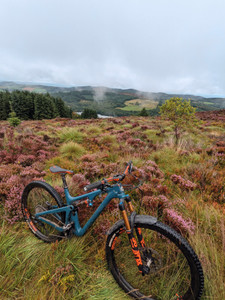 Kissock Forest ride last week! - MTB Monster