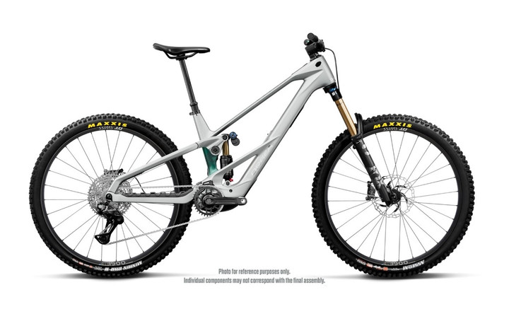 Orbea Wild LT M10 2027 - Silver / Green