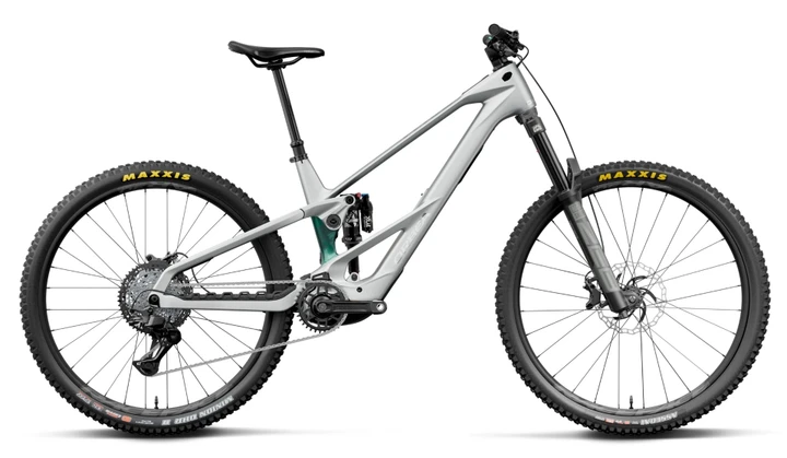 Orbea Wild LT M20 2027 - Silver / Green