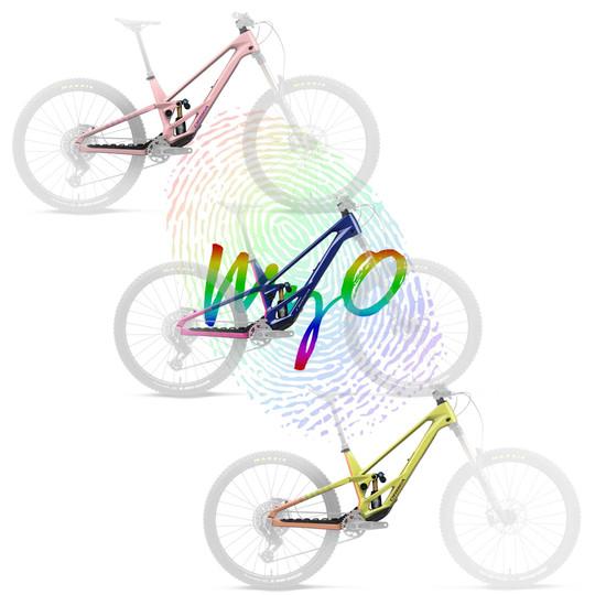 Orbea Rallon Enduro Frameset 2027 - MyO