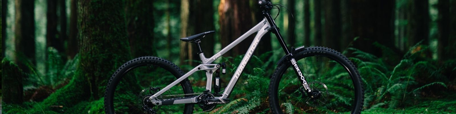 Transition TR11