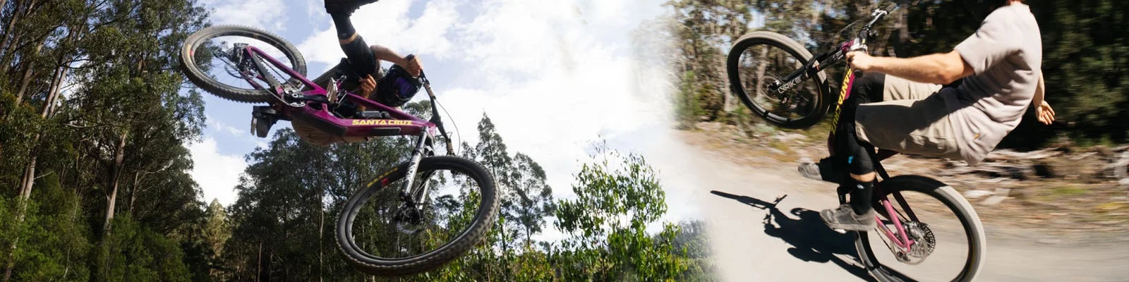 Santa Cruz Bronson