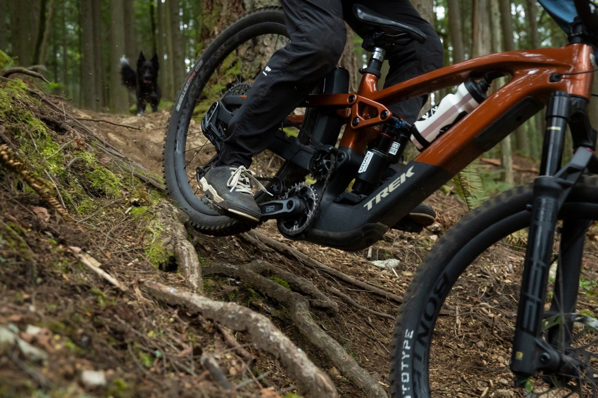 How to Choose an eMTB technical