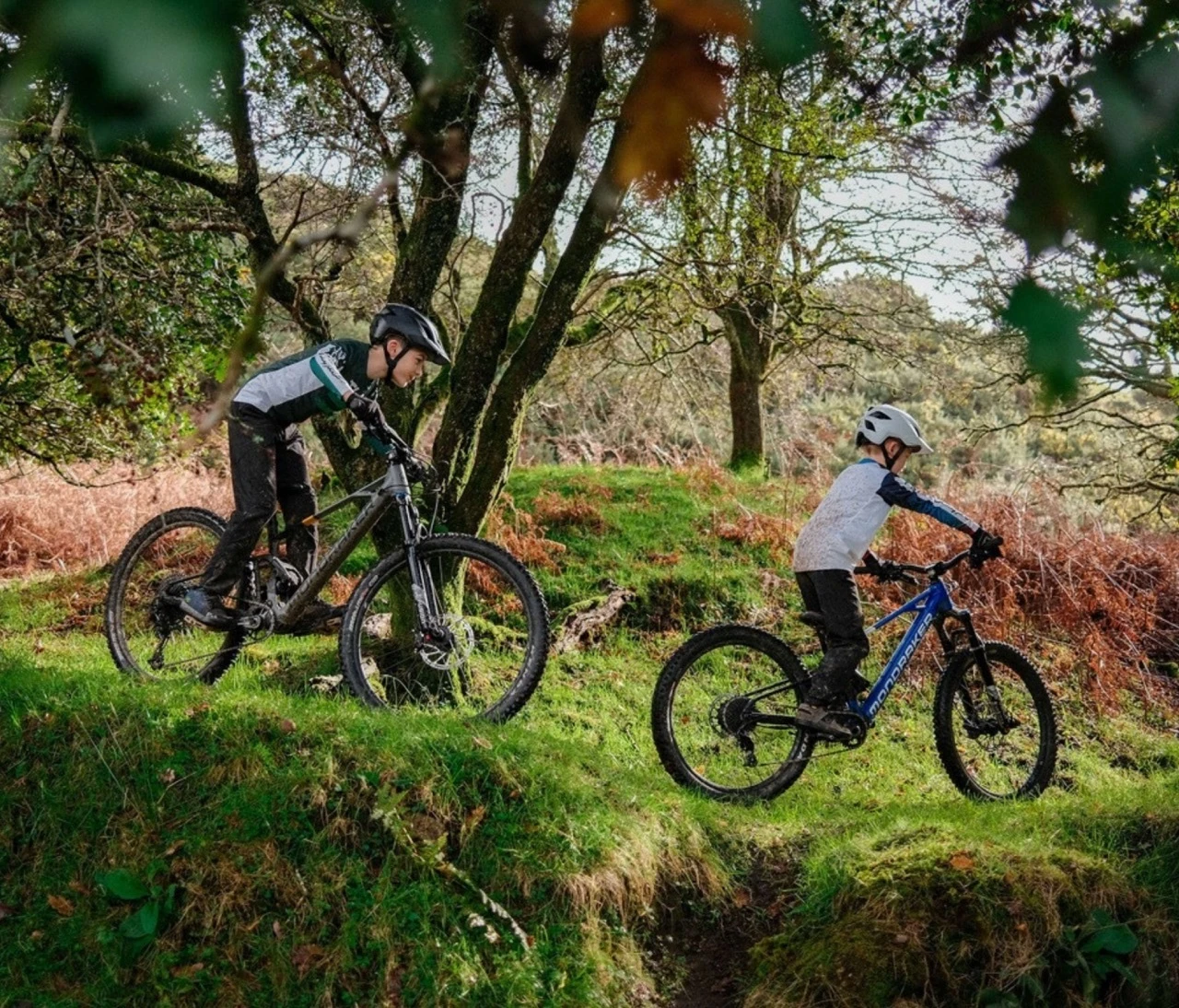 Mahle X20 vs X35 (2026): Where Hub Motors Make Sense in EMTB