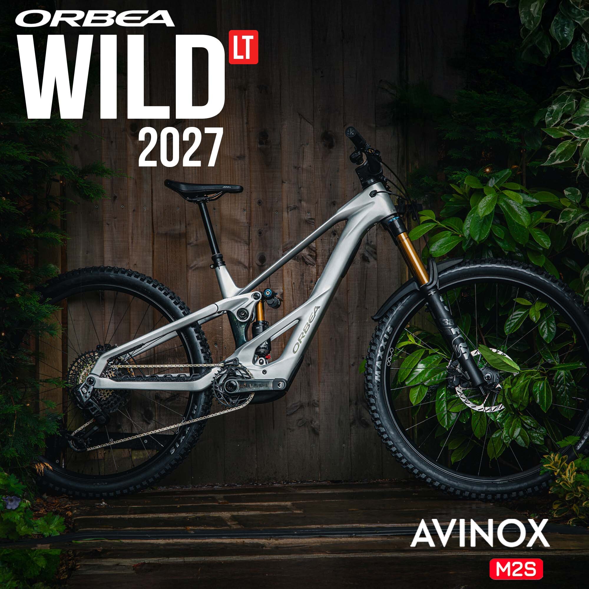 Orbea Wild LT 