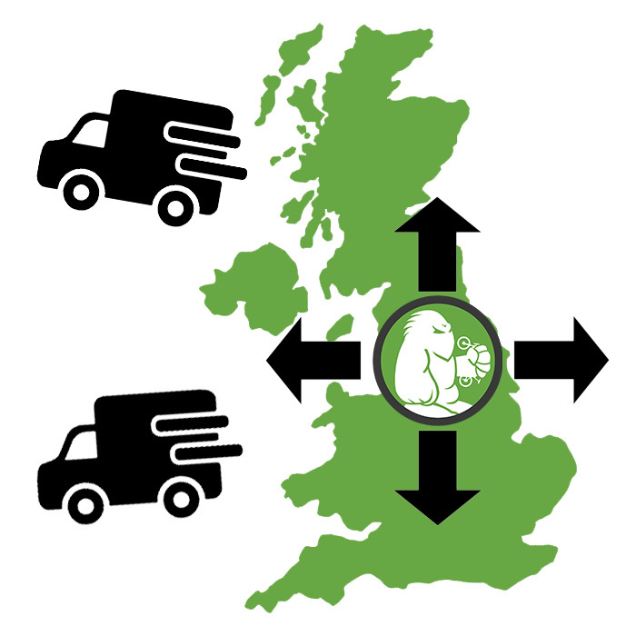 Shipping, Tax and Delivery Information