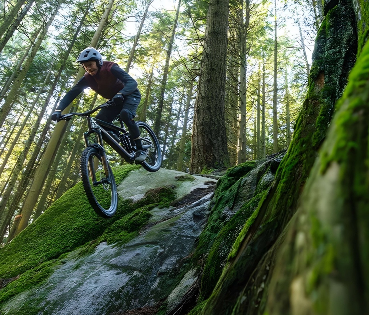 TQ HPR50 vs HPR60 (2026): Quiet EMTB Motor Comparison