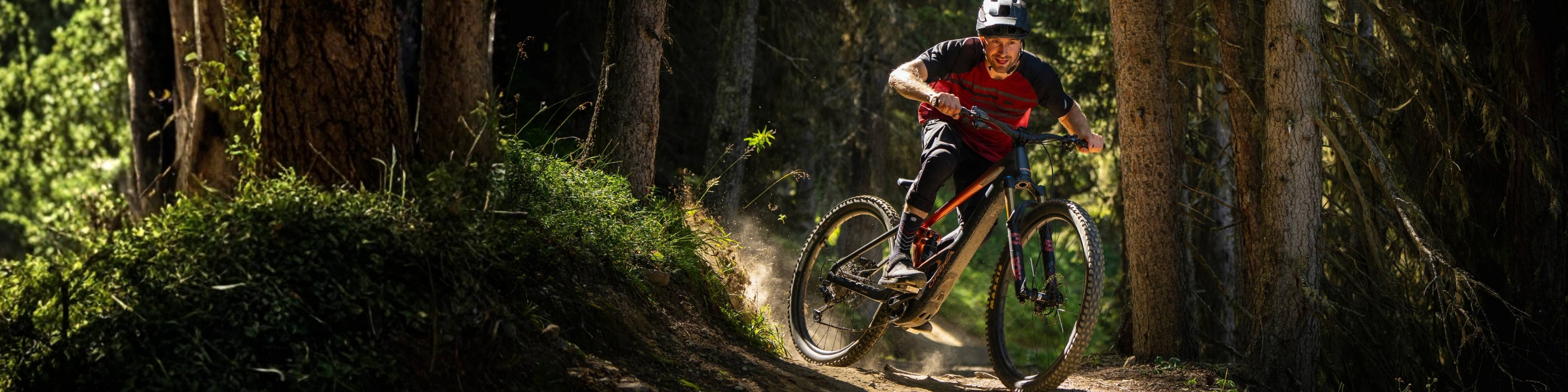 Electric Mountain Bikes