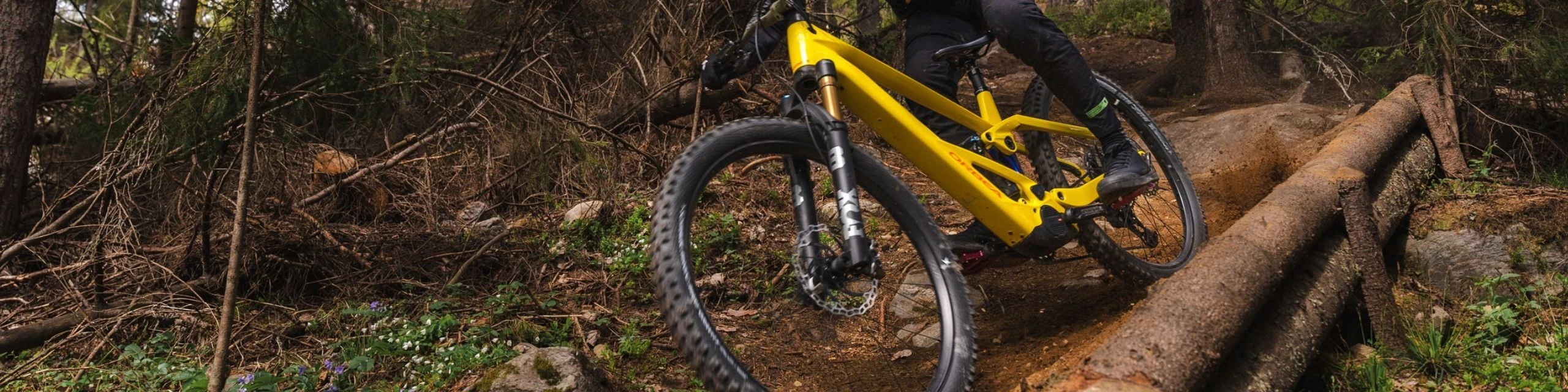Orbea Bikes